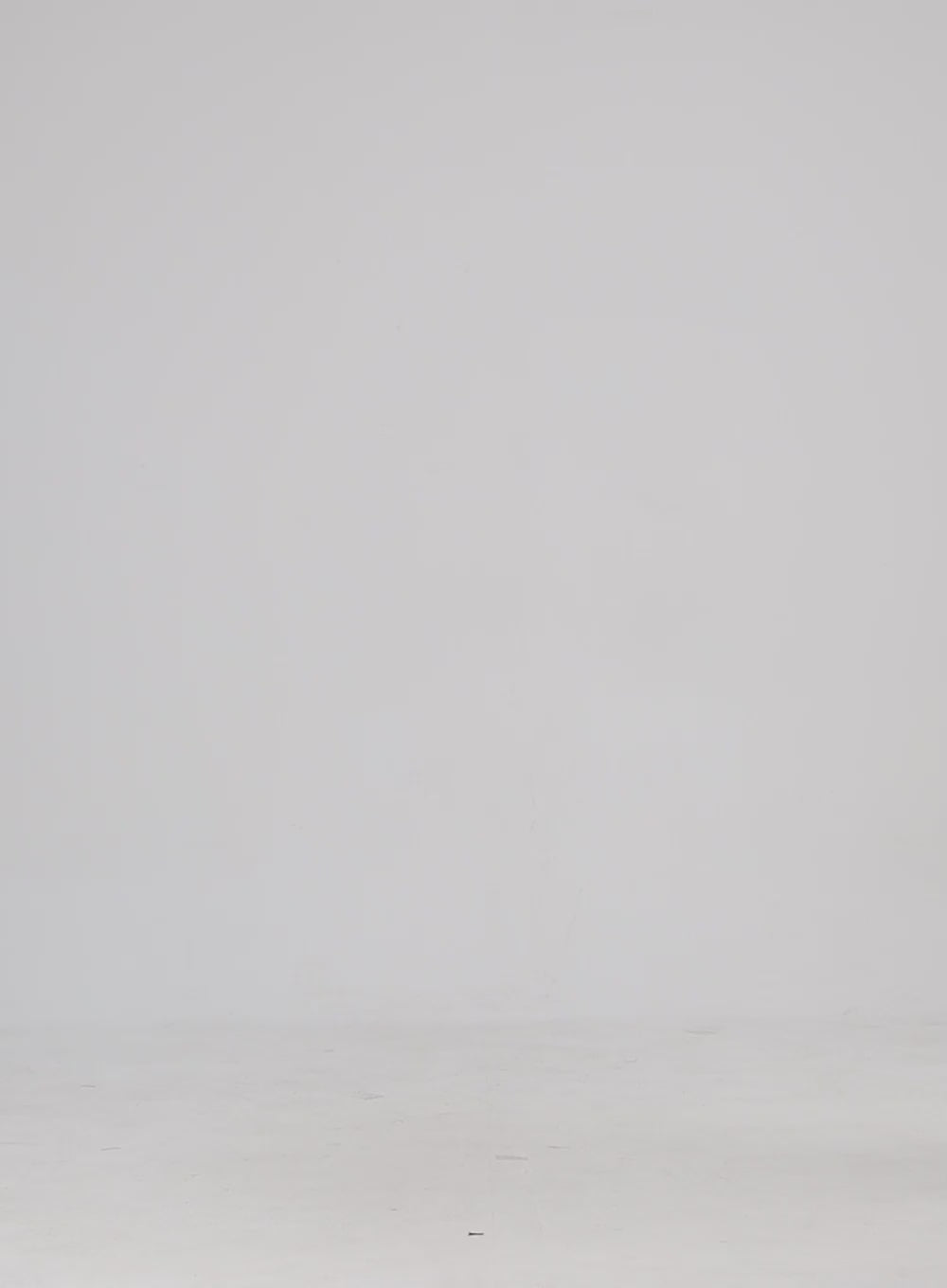 Mid-Rise Ripped Denim Shorts CY315